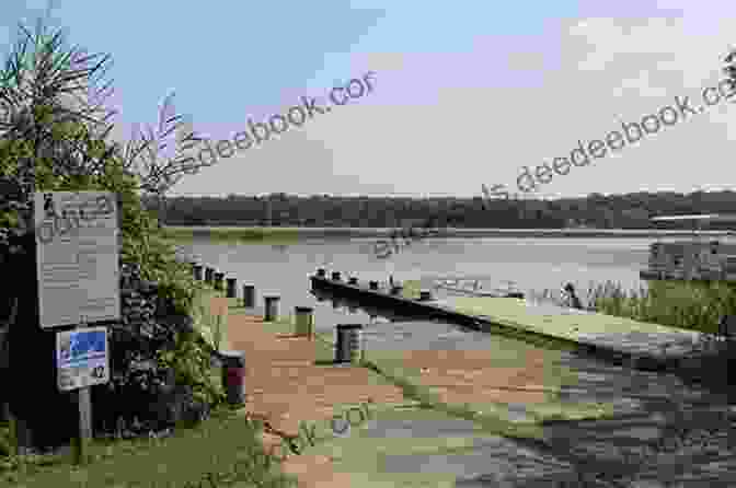 A Breathtaking Photograph Of Patuxent River Park, Capturing The Tranquil Waters, Lush Greenery, And Abundant Wildlife. Beachfront Secrets (Solomons Island 6)
