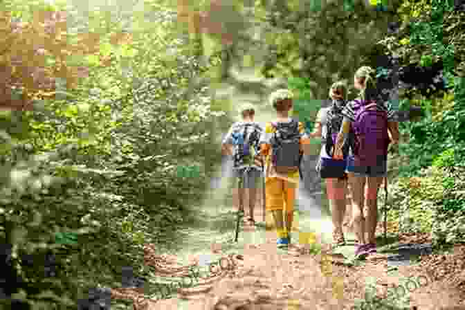 A Group Of Students Hiking In The Woods Nature Preschools And Forest Kindergartens: The Handbook For Outdoor Learning