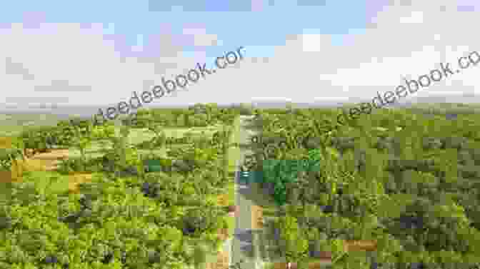 Aerial View Of Blue Thorn Ranch In The Texas Hill Country The Texas Rancher S New Family (Blue Thorn Ranch 5)