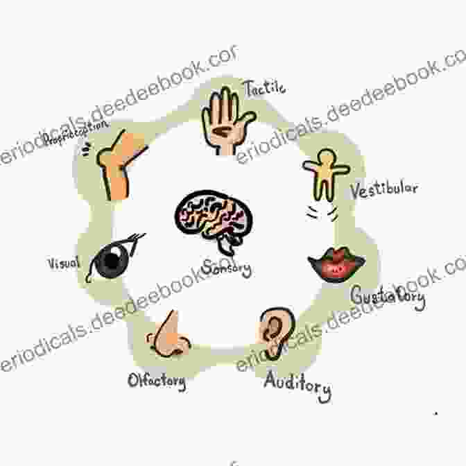 Medical Illustration Highlighting The Different Sensory And Perceptual Disorders Associated With Damage To Specific Brain Regions Sensation And Perception (Gray Matter)