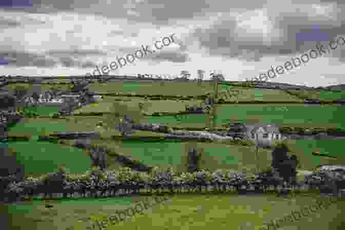 Picturesque View Of The Irish Countryside, With A Stone Cottage And Rolling Green Hills Tourist Europe 2: The British Isles Wales Scotland Ireland (Ultimate 2024 4)