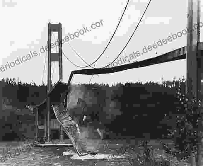 The Collapsed Tacoma Narrows Bridge After The Great Seattle Earthquake The Great Seattle Earthquake (Northwest Tales 2)