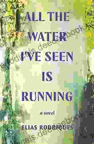 All The Water I Ve Seen Is Running: A Novel