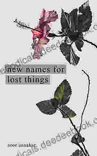 New Names For Lost Things