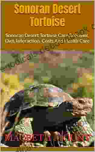Sonoran Desert Tortoise : Sonoran Desert Tortoise Care Behavior Diet Interaction Costs And Health Care