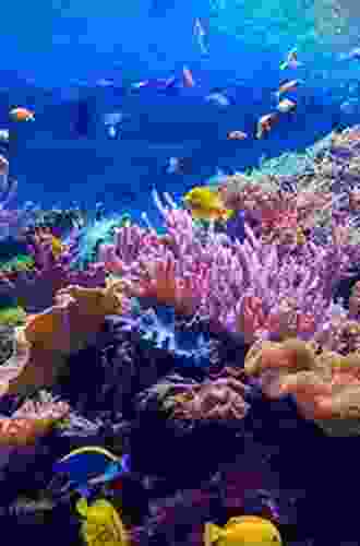 The Red Sea Ecosystem And Fisheries (Coral Reefs Of The World 7)