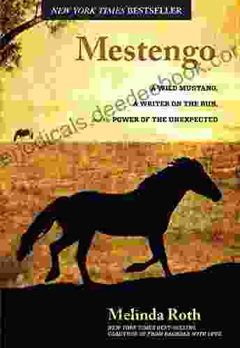 Mestengo: A Wild Mustang A Writer On The Run And The Power Of The Unexpected
